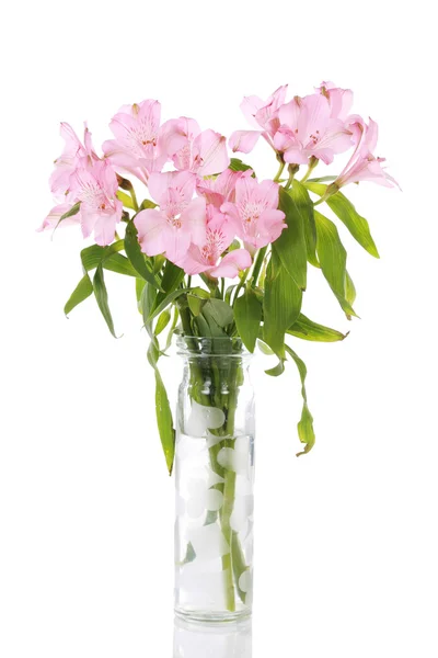 Vaso de lírios rosa — Fotografia de Stock