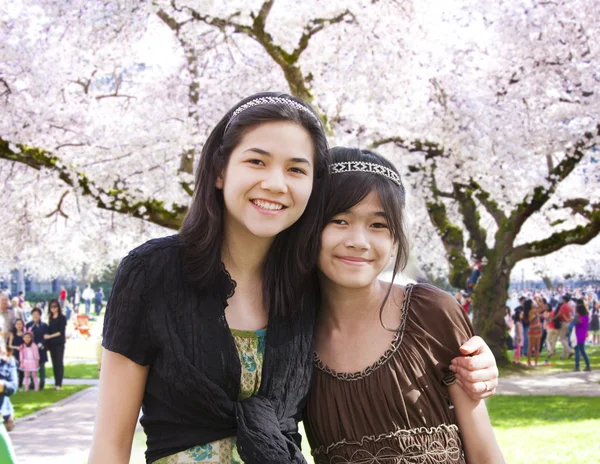 Due ragazze in piedi davanti al grande albero ciliegio fiorito — Foto Stock