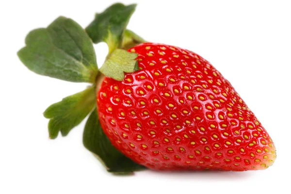 One delicious fresh red strawberry, isolated — Stock Photo, Image