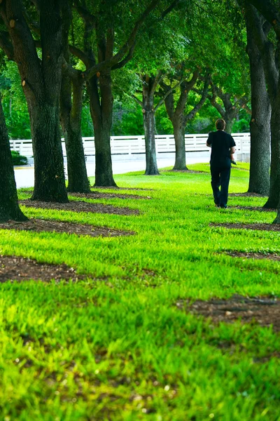 Padre passeggiando sotto gli alberi portando figlio — Foto Stock