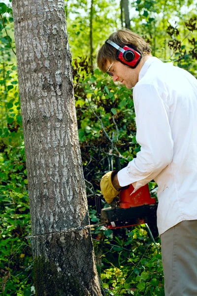 Caucasian man cutting down a tree with a chainsaw — Stock Photo, Image