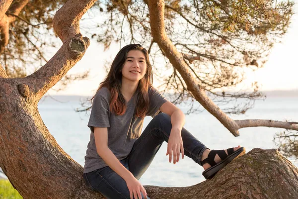 Biracial Asiatisch Teen Mädchen Sitting Auf Groß Kiefer Zweig Von — Stockfoto