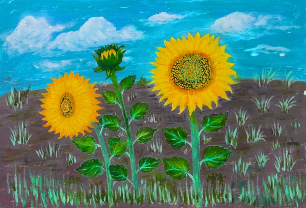 Peinture Huile Sur Toile Trois Grandes Fleurs Tournesol Dans Champ — Photo