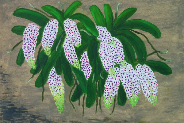 Pintura Óleo Sobre Tela Grandes Orquídeas Brancas — Fotografia de Stock