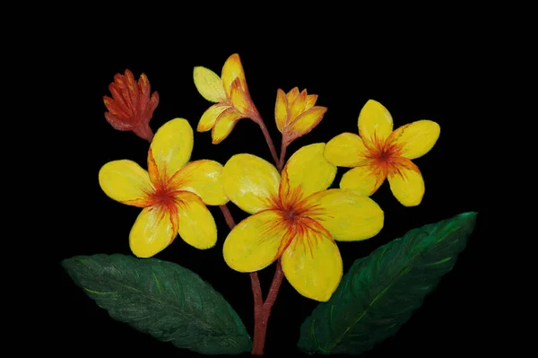 Żółte Kwiaty Rozkwicie Czarnym Tle Zdjęcia Stockowe bez tantiem