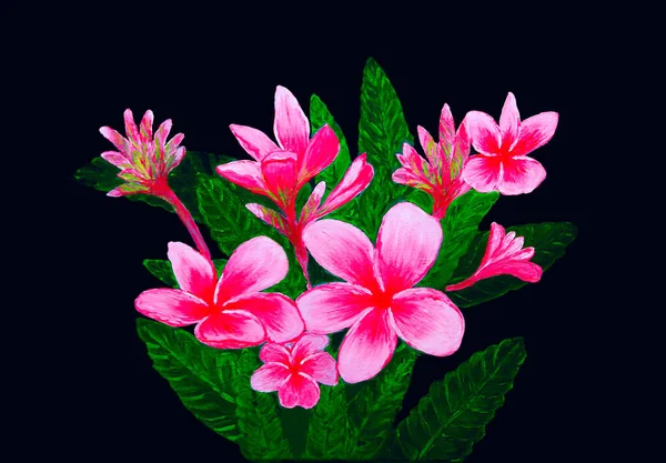 Olieverf Van Roze Tropische Bloemen Met Vijf Bloemblaadjes Zwart Doek — Stockfoto