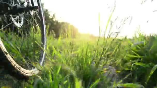 Senior couple riding bicycles.Going by Bike, Low Angle View. — Stock Video