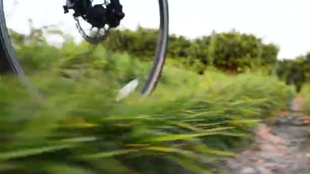 Senior couple riding bicycles.Going by Bike, Low Angle View. — Stock Video