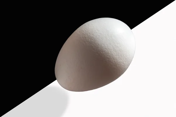Huevo blanco, sobre blanco y negro, con sombra, frontal iluminado, aislado, fondo , —  Fotos de Stock