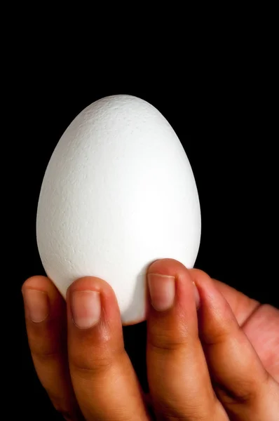 Huevos blancos, de mano, dedos, delanteros iluminados, aislados, espalda negra — Foto de Stock