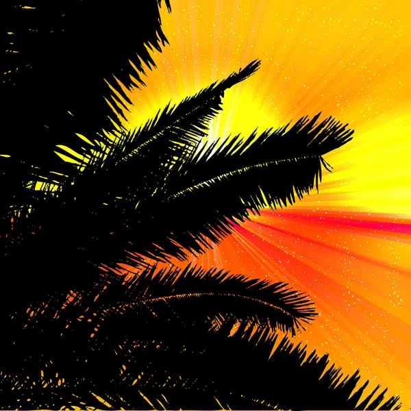 Palmy i zachód słońca na tropikalny tło. — Wektor stockowy