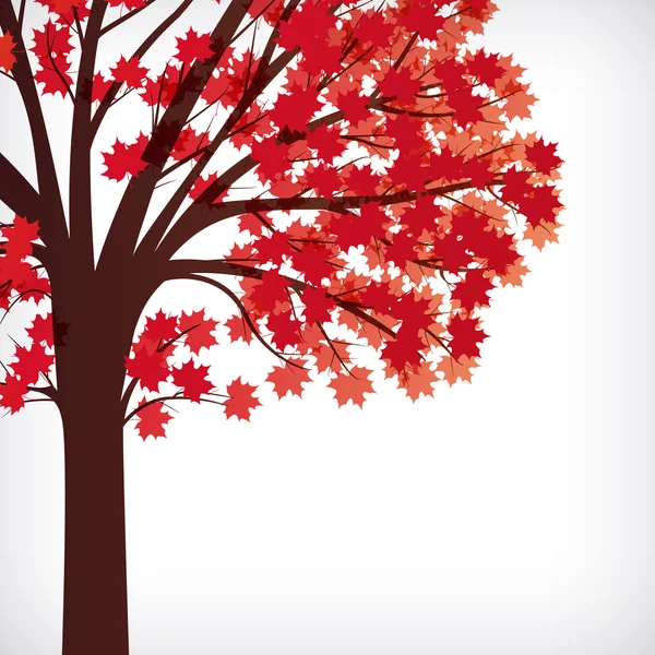 Rozmazané světla, javorový strom s pobočkami z podzimní lea — Stockový vektor