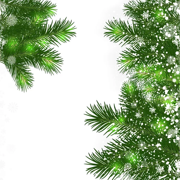 Fondo de Navidad con ramas verdes del árbol de Navidad. — Vector de stock