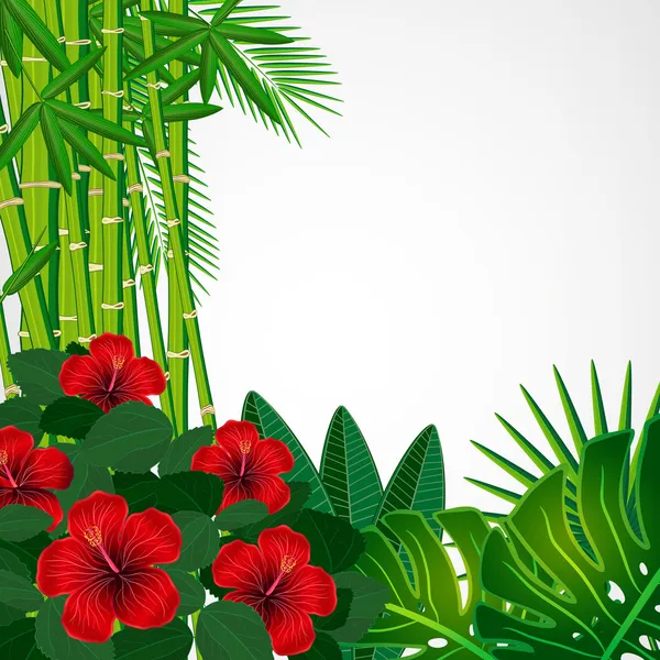 Fondo de diseño floral tropical . — Vector de stock