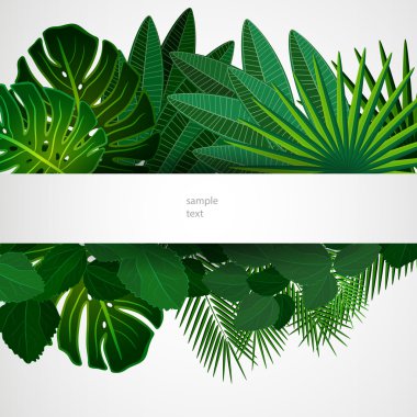 Tropical leaves. Floral design background. clipart