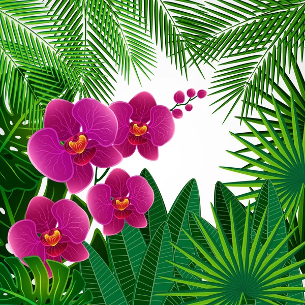 Kwiatowy wzór tła. kwiaty Orchid. — Wektor stockowy