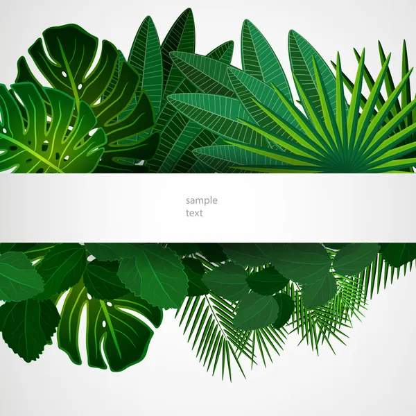 Folhas tropicais. Fundo de design floral. — Vetor de Stock