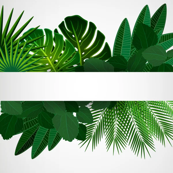 Hojas tropicales. Fondo de diseño floral. — Vector de stock