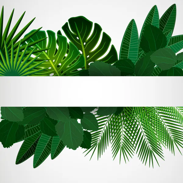 Hojas tropicales. Fondo de diseño floral. — Vector de stock