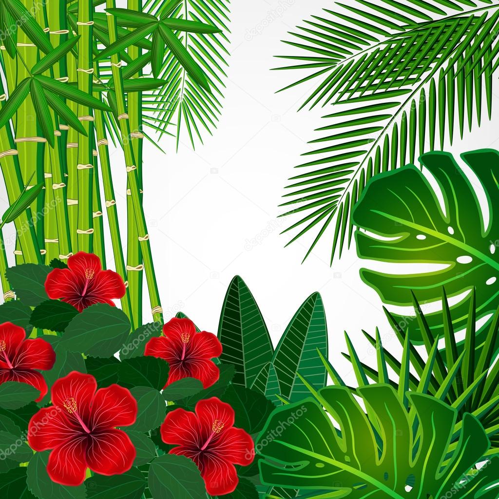 Tropical floral design background.