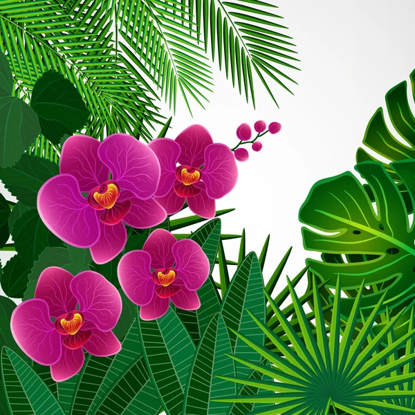 Hintergrund florales Design. Orchideenblüten. — Stockvektor