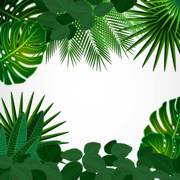 熱帯の葉。花柄デザインの背景. — ストックベクタ