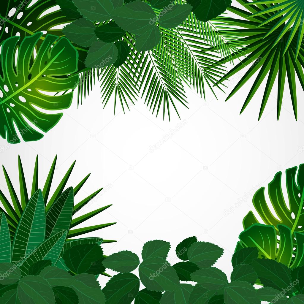 Tropical leaves. Floral design background.