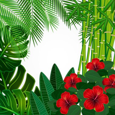 tropikal çiçek tasarım arka plan.