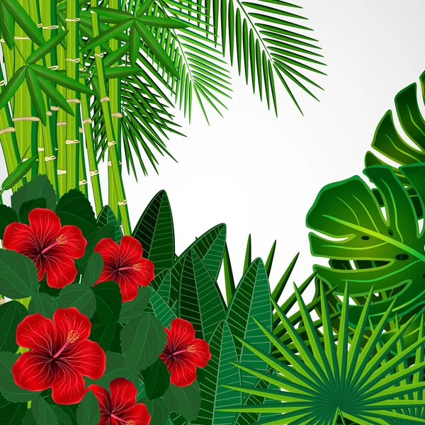 Arrière-plan floral tropical . — Image vectorielle