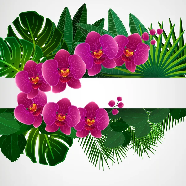 Çiçek tasarım arka plan. orkide çiçekleri. — Stok Vektör