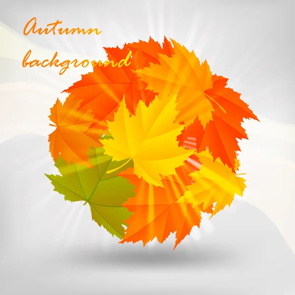 Herbstdesign — Stockvektor