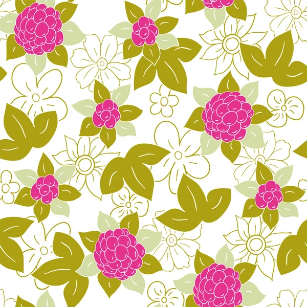 Raspberry — Stock Vector