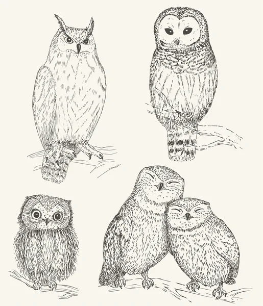 Owl set Vector Graphics