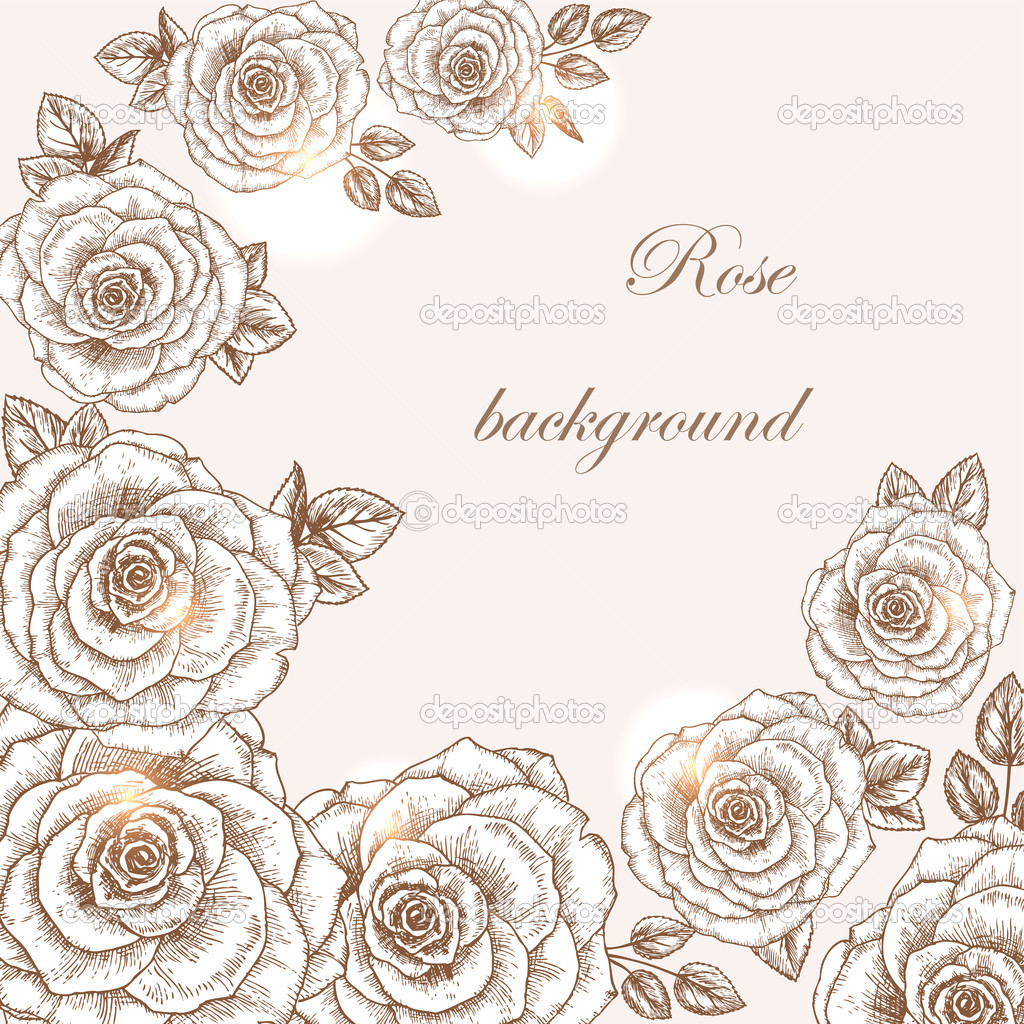 Rose background 1