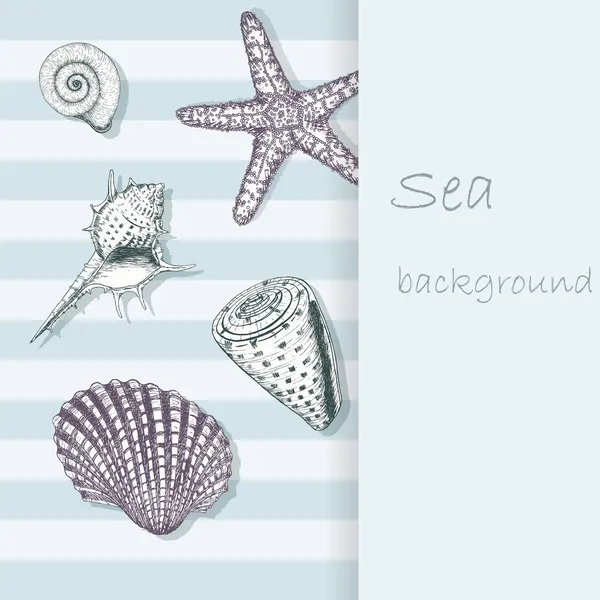 Sea shell background 4 — Stock Vector
