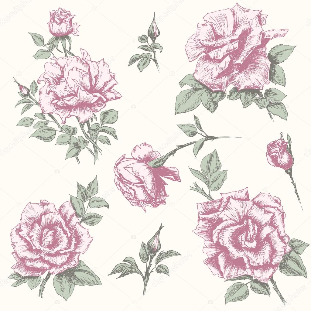 Vintage rose collection