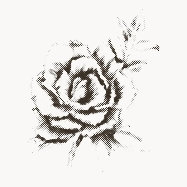 Blomma gravyr 3 — Stock vektor