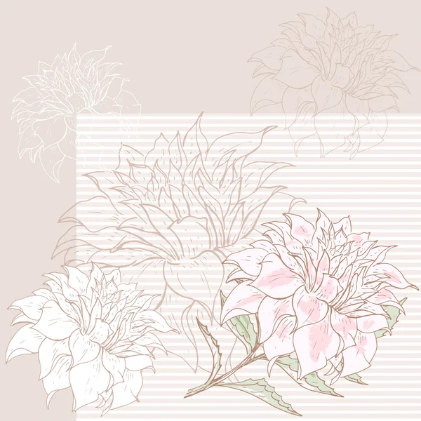 Dahlia achtergrond 3 — Stockvector