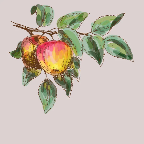 Яблоки фон — стоковый вектор