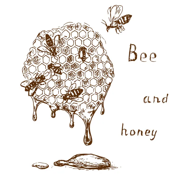 Bee and honey 2 — Stock Illustration Bee and honey 2 Vector Graphics