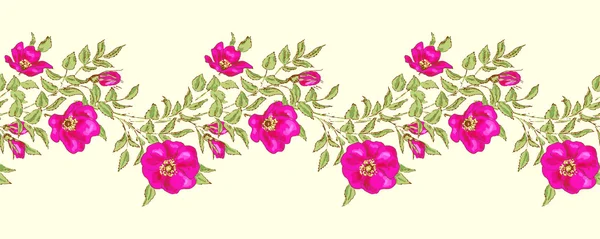 Naadloze floral grenzen — Stockvector