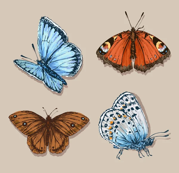 Butterfly set — Stock Vector