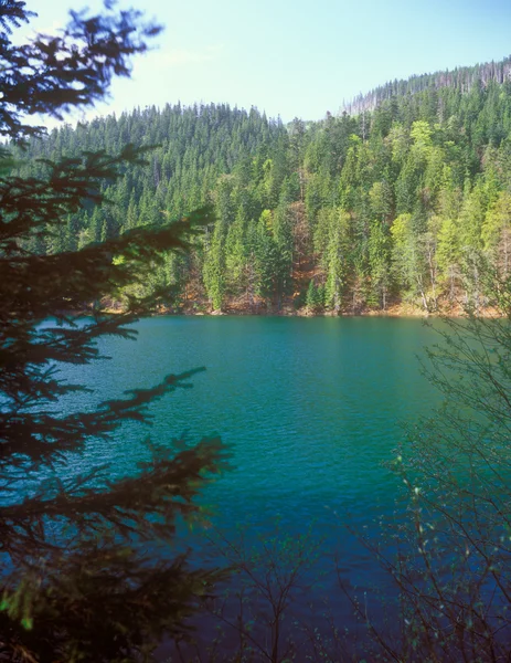 Jezioro synevir. — Zdjęcie stockowe