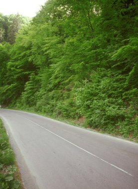 Dağ yolu.