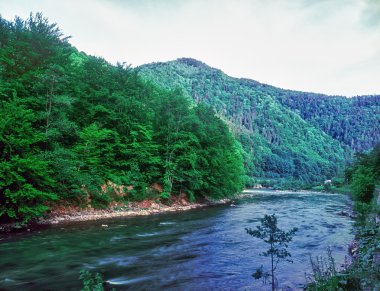 bir nehir, Karpat yatay.