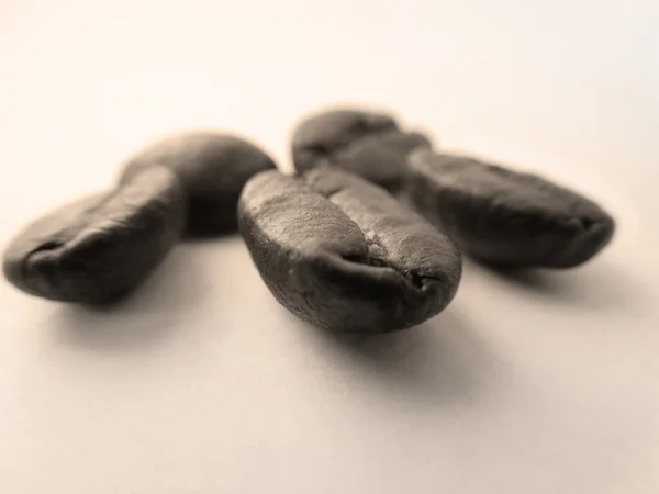 Kaffebønner. – stockfoto