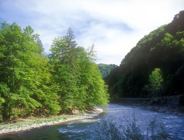 Karpatenlandschaft. — Stockfoto