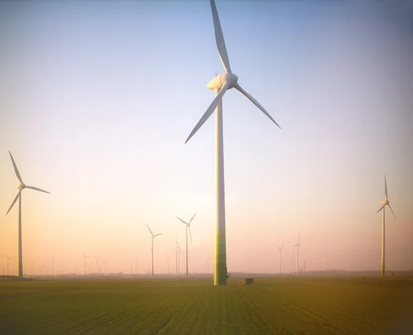 Wind energy. — Stock Photo, Image