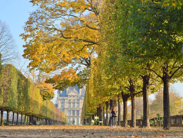 Outono Jardin Des Tuileries Paris França — Fotografia de Stock