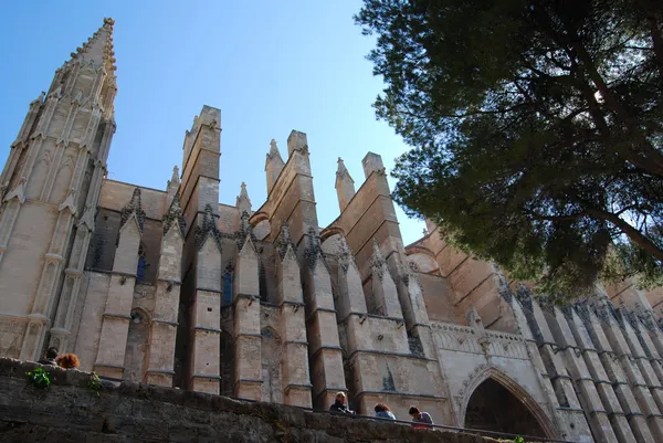 palma de Mallorca Katedrali